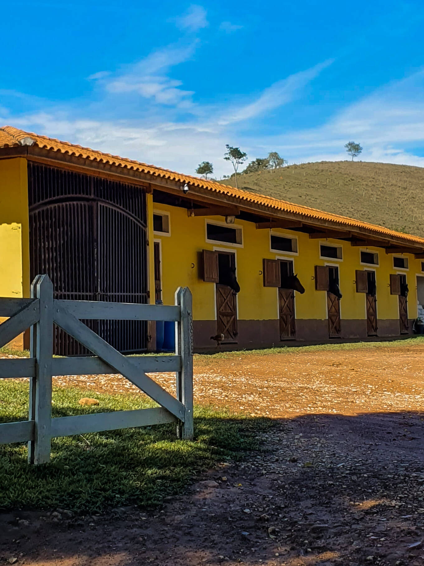 CHÁCARA COM 10 ALQUEIRES E ARAS EM LAGOINHA/SP