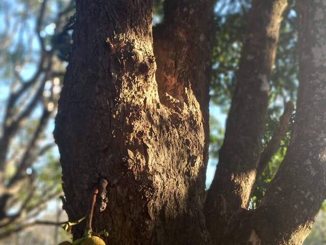 Terreno em condomínio para Venda em Taubaté - 5