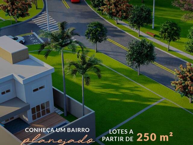 Terreno para Lançamento em Taubaté - 5
