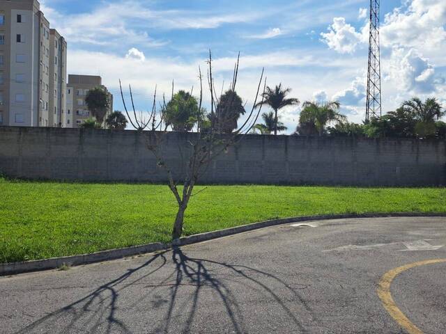 #260 - Área para Venda em Tremembé - SP